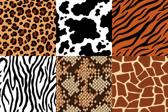 Download Animal Skins Pattern - Animal skin Collection